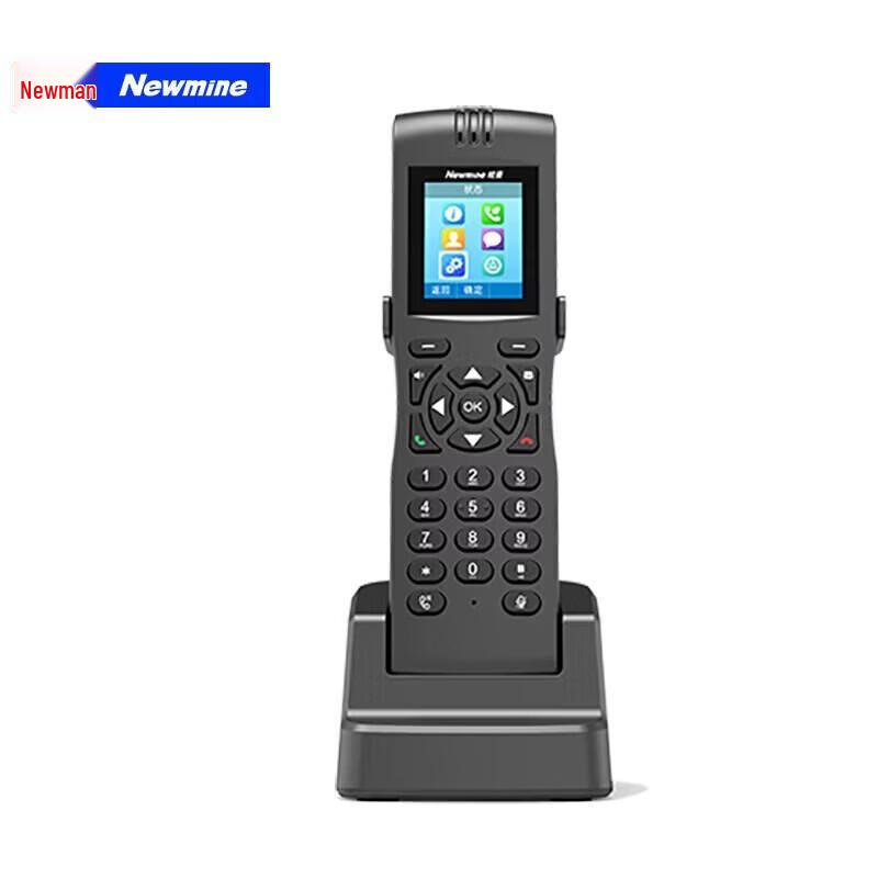 Newmine HL2008TSD-198(р) Беспроводной WiFi IP-телефон (Китайская версия)