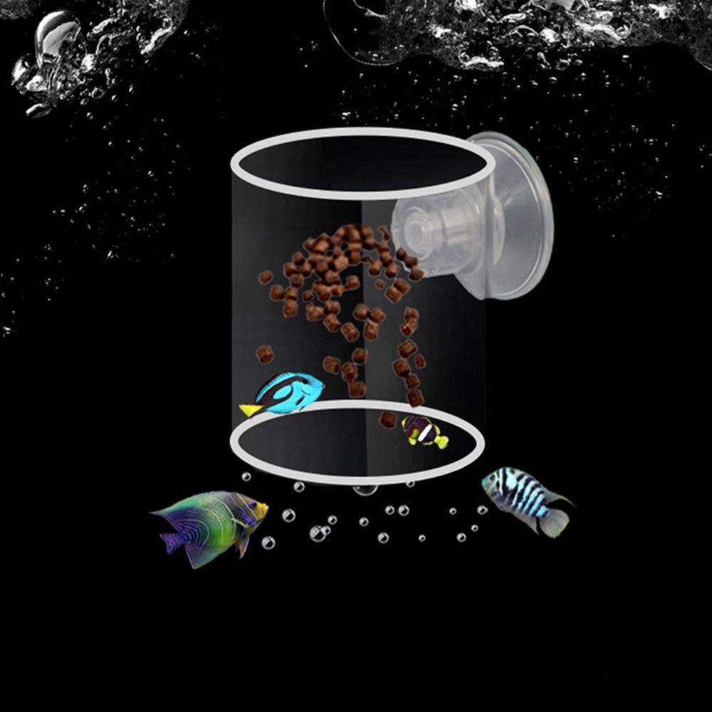 Пластиковая самоплавающая кормушка с фиксированной точкой, квадратное кольцо для кормления рыб, аквариумное кормление