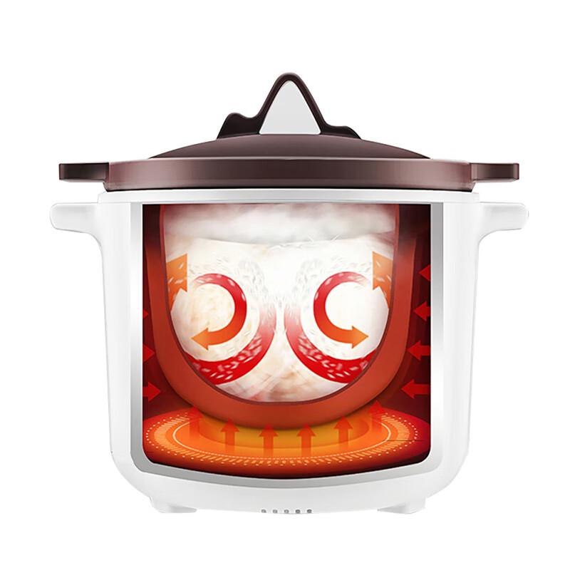 Joyoung 2L Electric Stew Pot CN plug (adapter included)