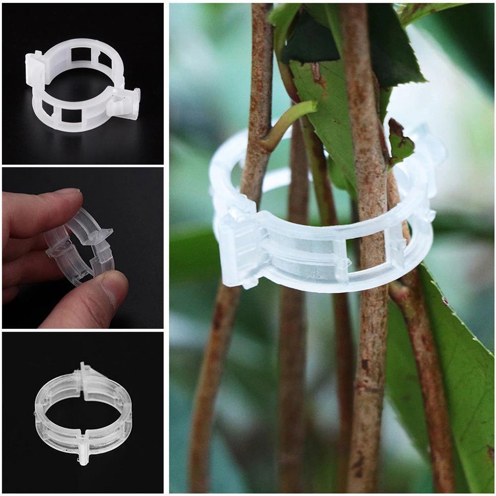 50/100Pcs Reusable Plastic Plant Clips Gardening Grafting Fixing Clamp Support Clip for Tomato Vegetable Plant