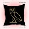 Чехлы на подушку Drake O-OvO OWL Мультяшные Декоративные для дивана Домашние Двусторонние Короткий плюш Милый Чехол для подушки