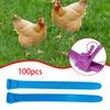 100 Pieces Chicken Leg Bands Poultry Identification Tags Rings for Bantam