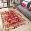 Washable Printed Carpet RVG0783