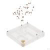 Housing Acrylic Nest Feed Farm Formicarium 1.7cm