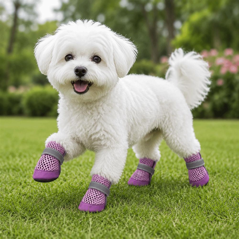 4PCS/SET Non-Slip Pet Mesh Shoes Wear-Resistant Pet Paw Protector Pet Footwear Outdoor Use