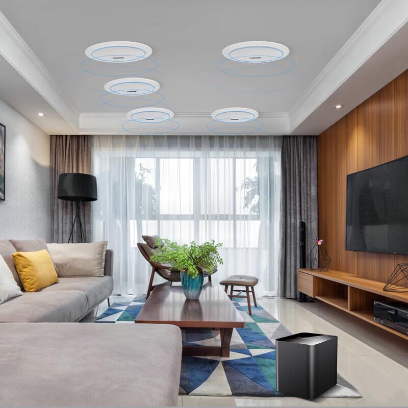 SANSUI T2 5.1 Channel Home Theater Ceiling Speaker System (CN version)