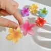 1/6Pcs Hawaiian Gradient Hair Clip Flower Hair Claws Women Small Size Fashion Headwear Hairpin Crab Barrette Hair Accessories 2025