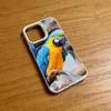 Rainbow Macaw Bird Phone Case for iPhone 17 16 Pro Plus 15 14 13 12 11 Max Mini X XS Silicone Shockproof Cover