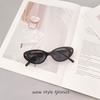 Cat Eye Shape Women'S Sunglasses Vintage Style Anti-Reflective Sun Glasses Women Holiday Travelling Man Sunglass