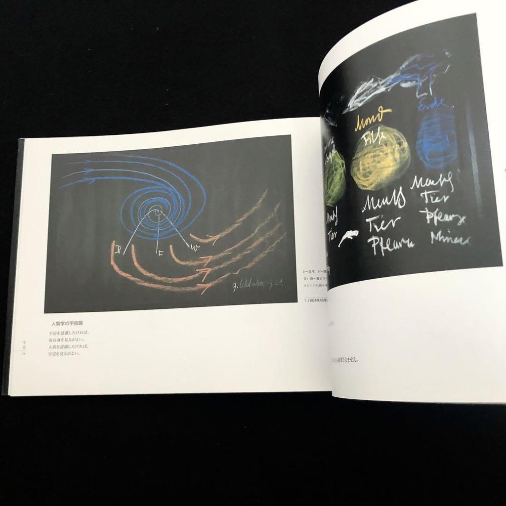 [USED] "Rudolf Steiner: Blackboard Drawings Left Behind" by Iwao Takahashi, 1996, first edition