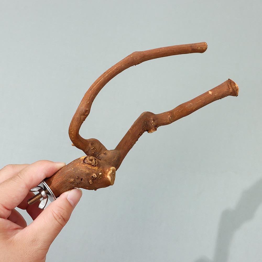 Accessories Parrot Wooden Branch Bird Hanging Toys Wood Parrot Bird Stand Perch Platform Stand