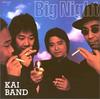 CD KAI BAND - Big Night TOCP9529 Япония Японская поп/рок Б/У
