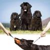 Durable And Comfortable Pet Training Choke Rope For Large Dogs Black Nylon Design