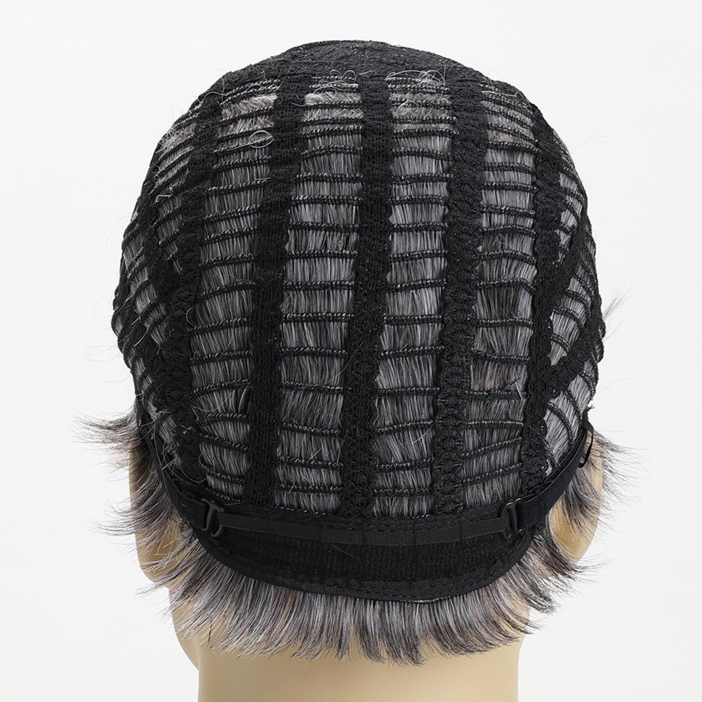 European and American Men's Fashion Daily Use Natural Looking Side Part Synthetic Fiber Silver Gray Short Curly Wig