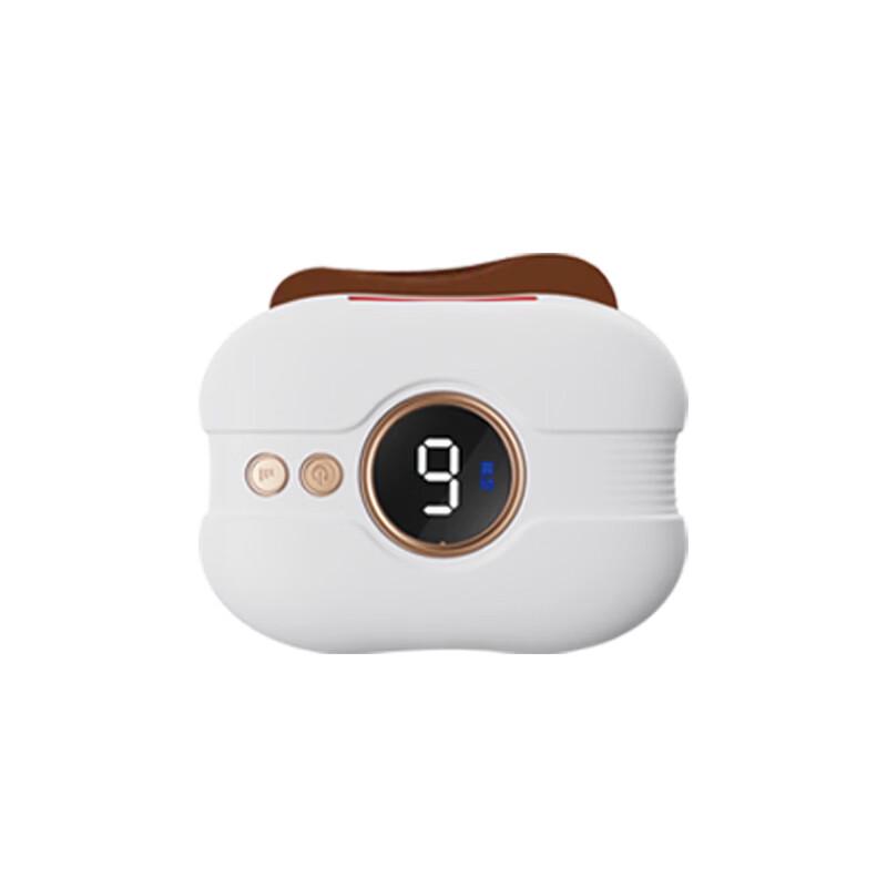 GUFIUS Head Massager and Gua Sha Set CN plug (adapter included)