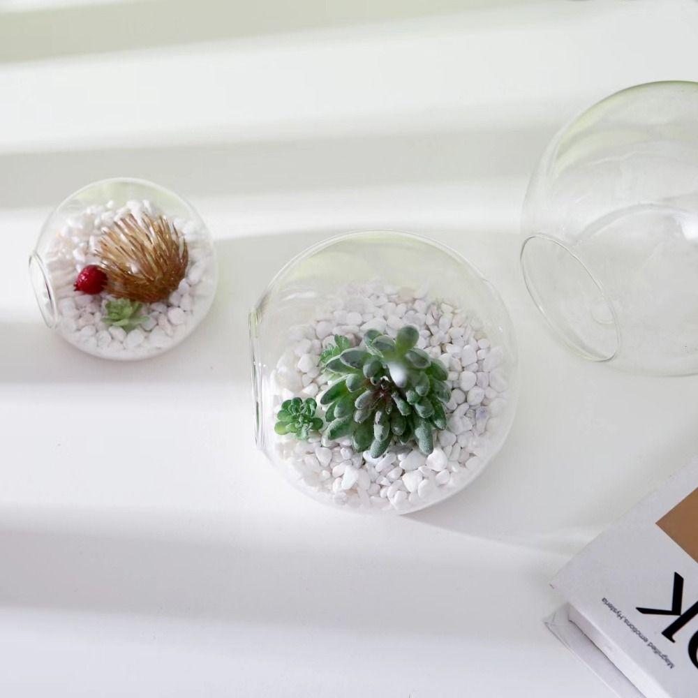 Террариумный контейнер, бутылка для цветов, суккулентное растение, ваза для гидропонных растений
