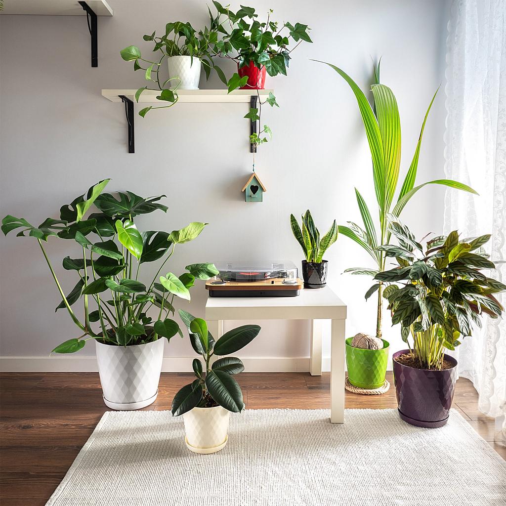 KADAX Doniczka Osłonka Donica 16 cm Na Kwiaty Z Podstawką Do Salonu Zestaw 3 szt