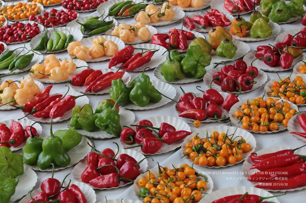 Refurbished Canon EOS70D Digital SLR Black Body Camera, (Refurbished)