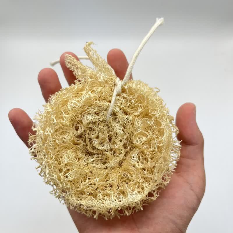 Natural Loofah Pot Scrubber with Steel Core