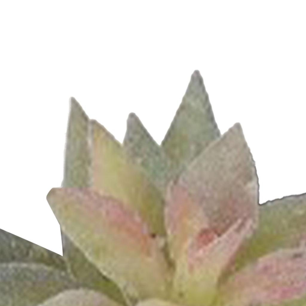 Искусственное суккулентное растение, мягкое ПВХ, высокая имитация, мини-поддельное растение для украшения стола в домашнем офисе