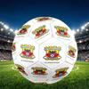 Go Ahead Eagles Размер 5 Футбольный мяч, из износостойкого ПУ, для тренировок и ежедневной практики, Подарок на день рождения для футбольных фанатов