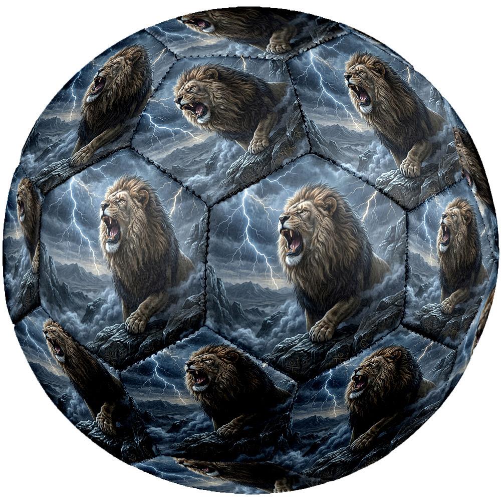 1 шт. Футбольный мяч Lion Storm, Размер 5, Легкий ПВХ, Прочный мяч для тренировок на открытом воздухе, Подарок m6143