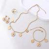 Trendy Hip-Hop Personality Round Lion Head Accessories Diamond Necklace Jewelry Women Set Joyera De Acero Inoxidable