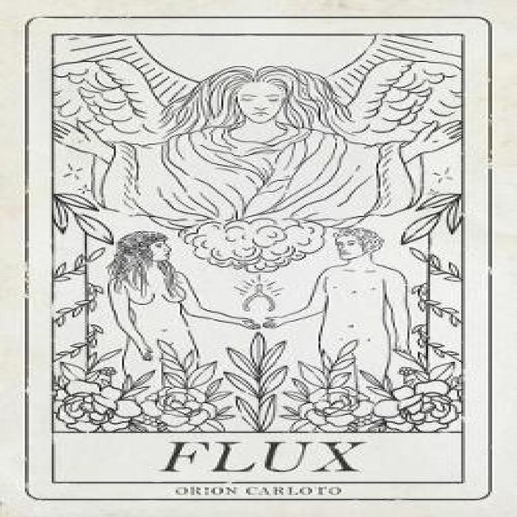 Flux by Orion Carloto Paperback Book 9781449489328