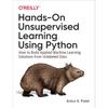 Практическое обучение без учителя с использованием Python Мягкая обложка UKN113
