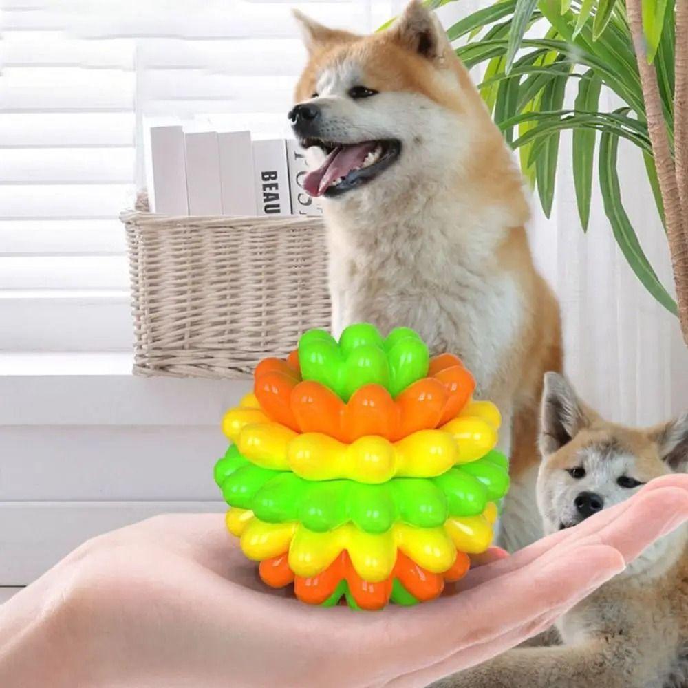 Colorful Dog Elastic Ball Toy Bite Resistant TPR Interactive Dog Toy Interactive Play