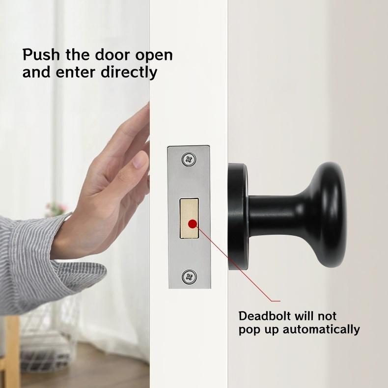 Modern Single-Sided Wooden Concealed Door Lock Zinc Alloy Door Handle With Integrated Deadbolt Lock Door Knob With Twist