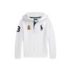 Худи Polo Ralph Lauren Big Pony с юбилейной нашивкой к 20-летию, из хлопкового флиса, детские худи 323P00823-500
