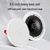 JBL C6IC In-Ceiling Home Theater System (CN version)