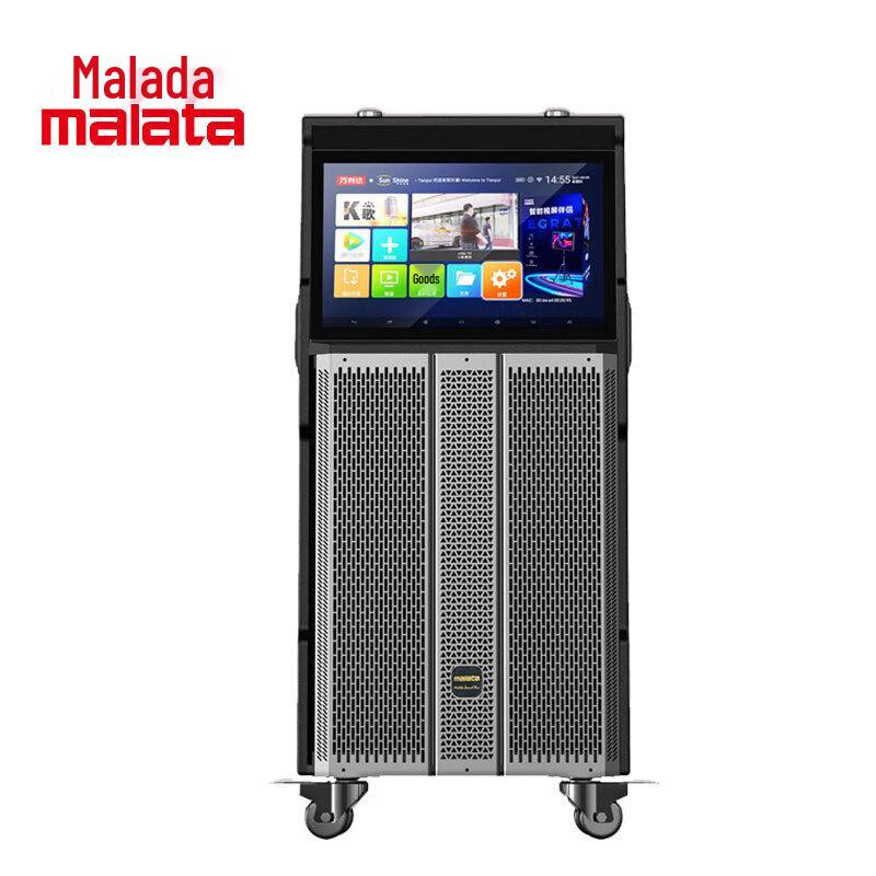 Wanlida M+9524 Portable Karaoke Speaker System