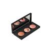 Mia Cosmetics Палетка Orion's Light 6 г