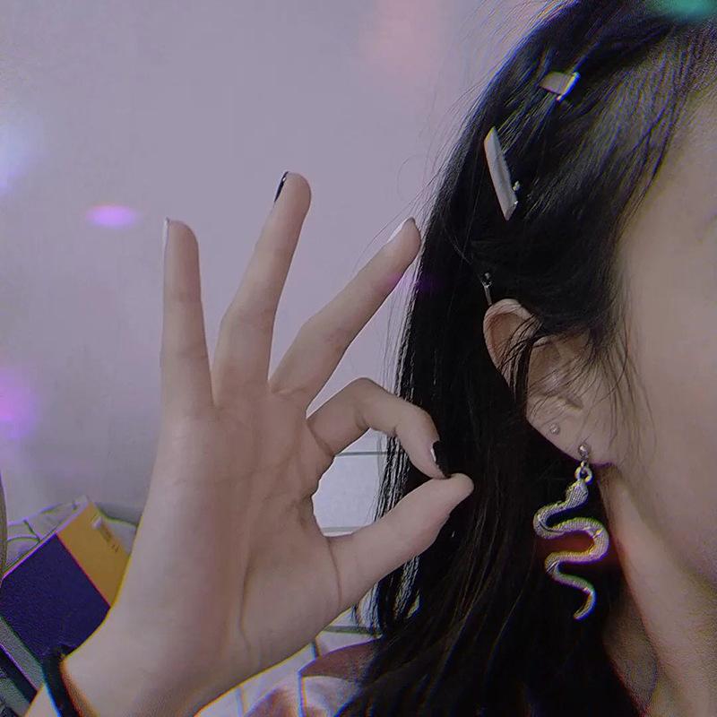 Винтажные висячие серьги в форме змеи для женщин и мужчин, ювелирные изделия, длинные серьги в стиле панк с подвеской