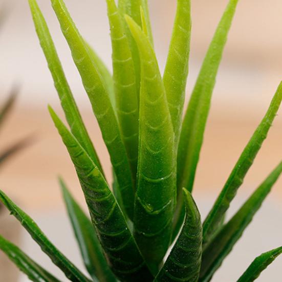 Поддельные сочные бонсай красивые декоративные реалистичные мини искусственные суккулентные растения искусственный цветок бонсай для гостиной