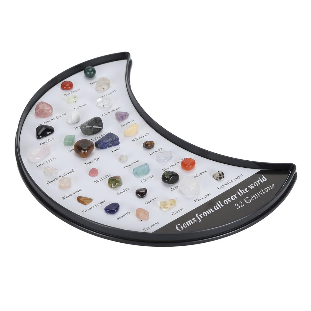 Rock Stone Colletction Kit for Kids Exquisite Science Classroom Rocks and Minerals Collection