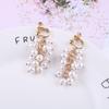 Trendy Simulated Pearl Clip On Earrings Grape Bunches Hanging Dangle Luxury Without Pierced For Female Wedding Party Ear Clip