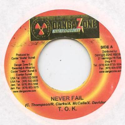 7-дюймовая пластинка TOK / DA'VILLE - Never Fail / Never Do Dat Danger Zone 2005 Ямайка Регги, Ска и Даб