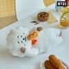 (sealed BT21 RJ Sleeping Lying Medium Doll