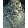 5D DIY Diamond Painting "Tiger Series" Diamond Embroidery Cross Stitch Needlework Gift