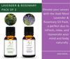 Aadi Mool Rosemary & Lavender Oil Combo for Hair Growth, Scalp Care & Aromatherapy | Rosemary Essential Oil and Lavender Essential Oil for Hair,
