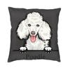 Чехол для подушки с выглядывающей собакой, пуделем, 66x66 см, полиэстер, наволочка для домашних животных, дивана, квадратная наволочка, декоративная домашняя наволочка