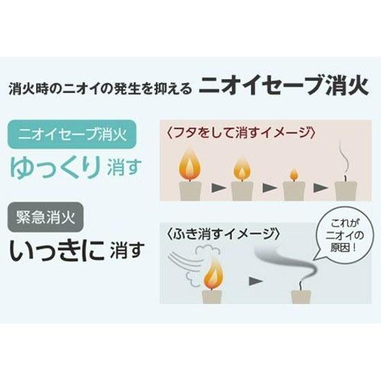 Toyotomi Convection Oil Stove RB-250(R) Maroon Red Special Order Color (Concrete 9 Tatami Mats)