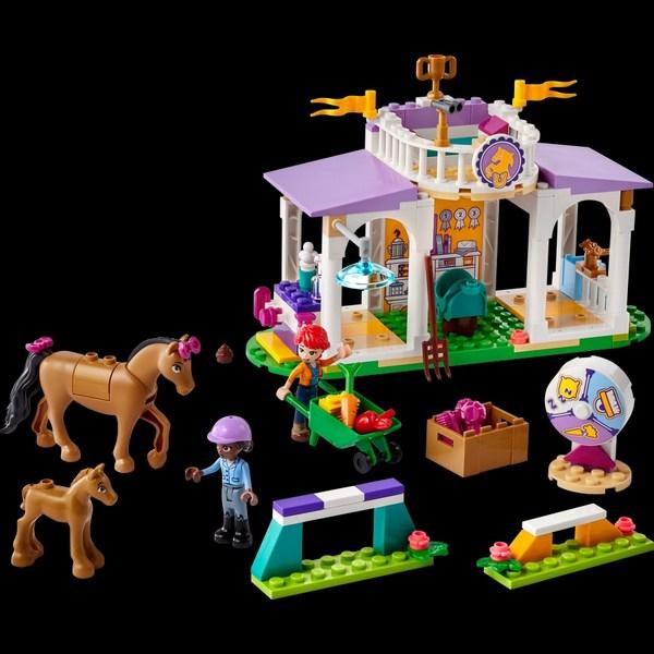 Friends LEGO 41746 Horse Training, Mixed Color
