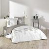 Housse De Couette 240 X 220 Cm + 2 Taies – Coton 57 Fils – Imprimé Goyave
