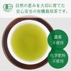 Organically Grown Green Organic Shizuoka No No Chemical Special Tea 100g Tea, Tea, Pesticides, Fertilizers, 100% First-picked First-pick Tea, Leaves,