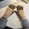 Warm Color Blocked Knitted Gloves Dual-purpose Arm Cover Breathable Plush Driving Gloves  Gift