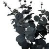 Искусственное растение, устойчивое к УФ-излучению, реалистичные черные элегантные листья искусственного эвкалипта, стебель, товары для дома